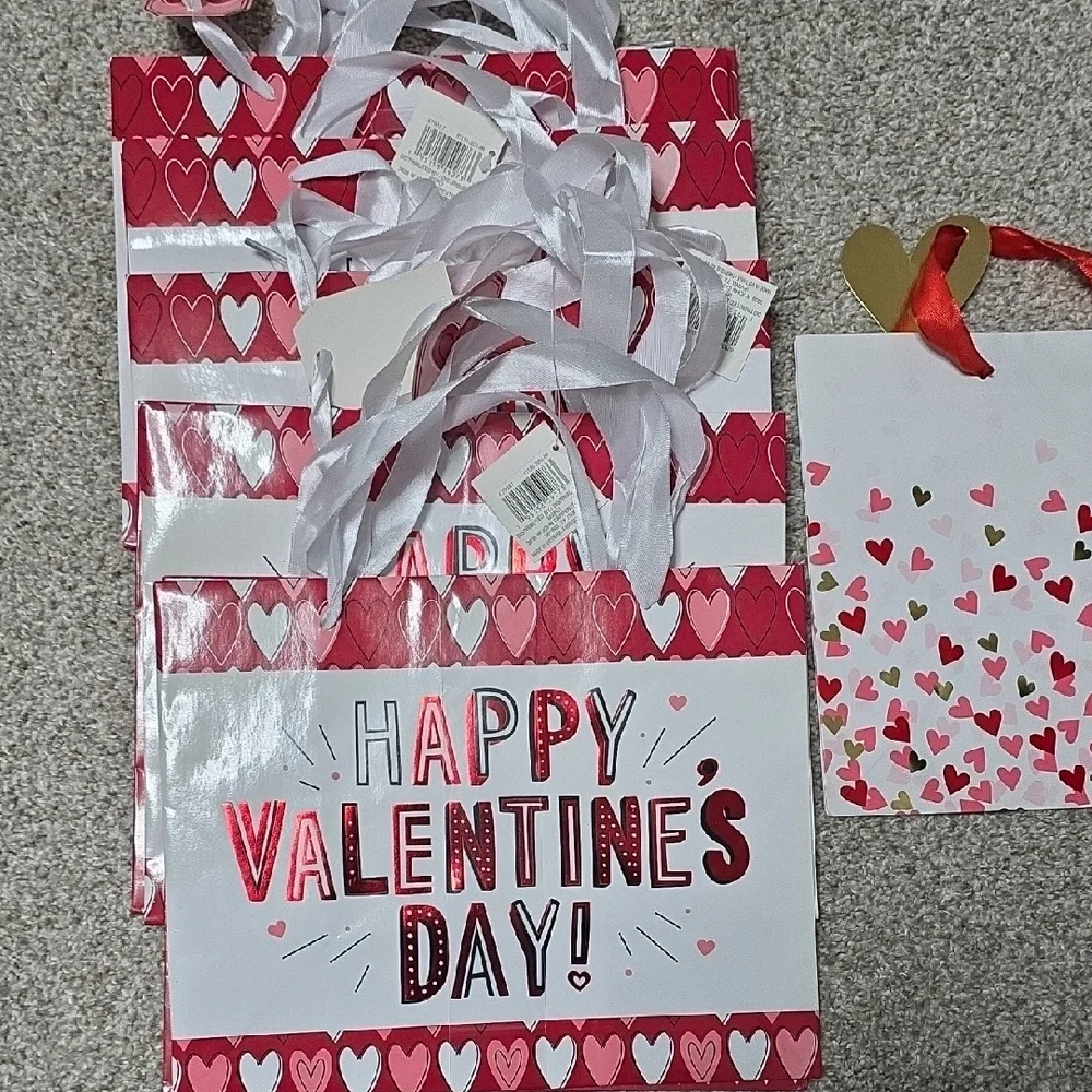 Celebrate It Valentine's Day Gift Bags - Red, Pink, White